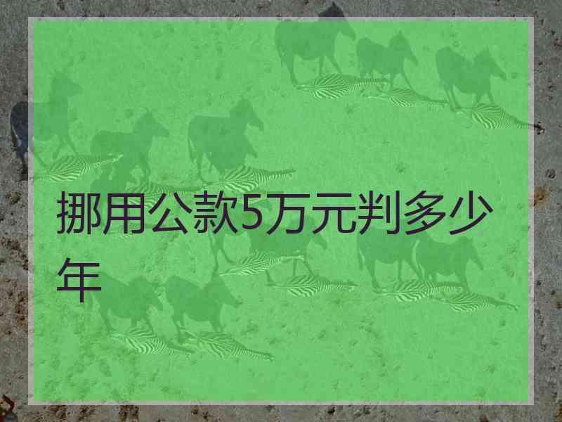 挪用公款5万元判多少年