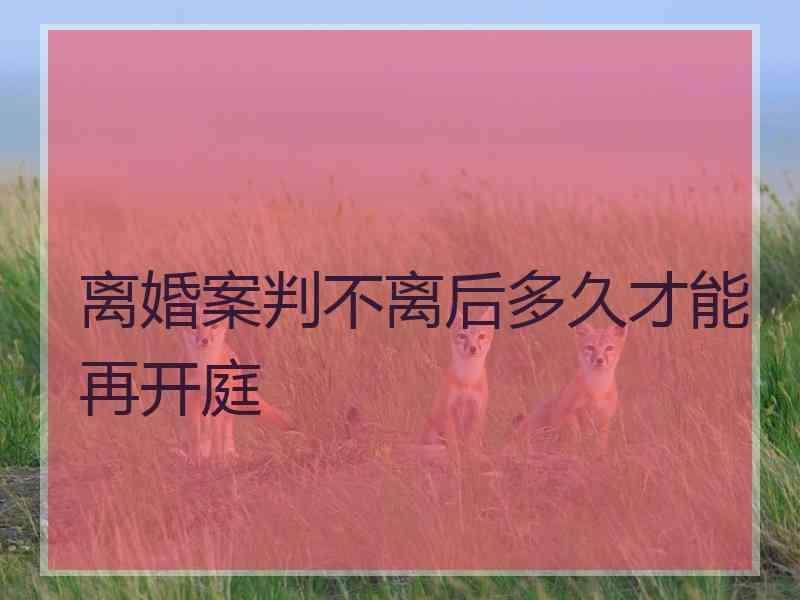 离婚案判不离后多久才能再开庭