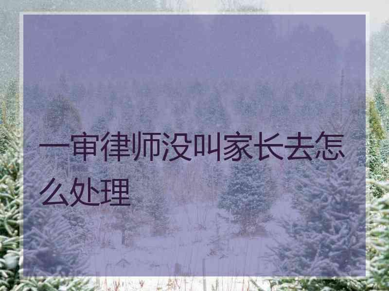 一审律师没叫家长去怎么处理