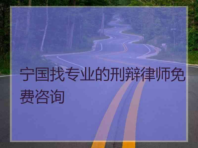 宁国找专业的刑辩律师免费咨询