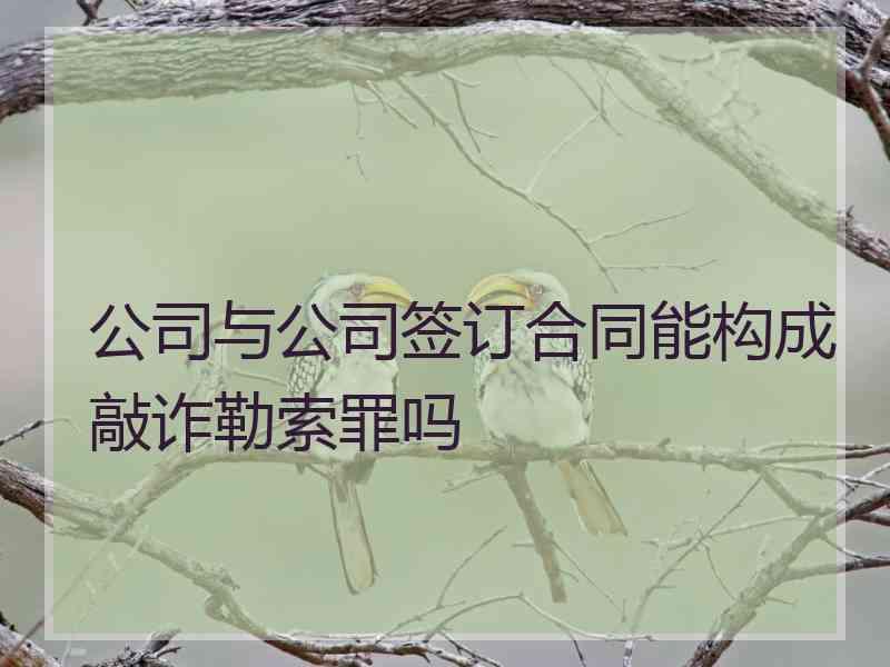 公司与公司签订合同能构成敲诈勒索罪吗