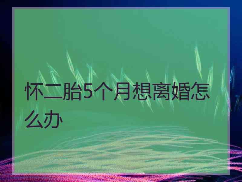 怀二胎5个月想离婚怎么办