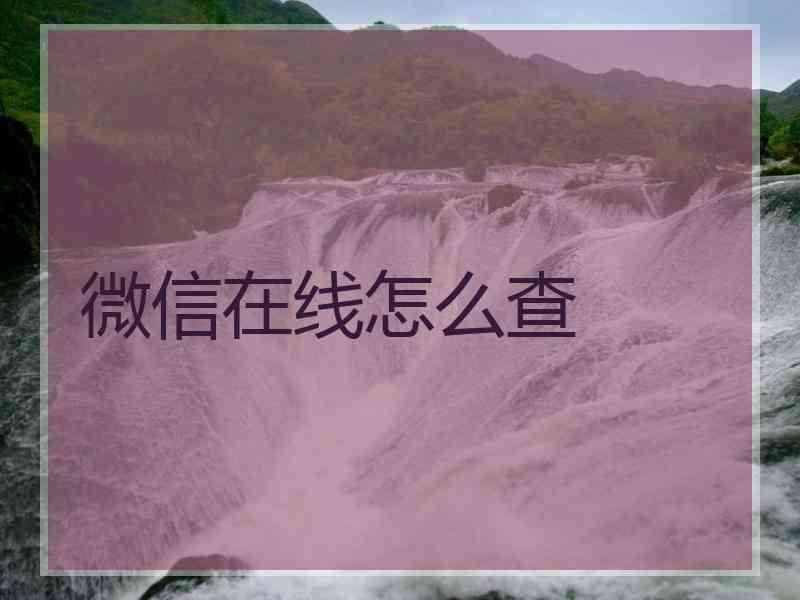 微信在线怎么查