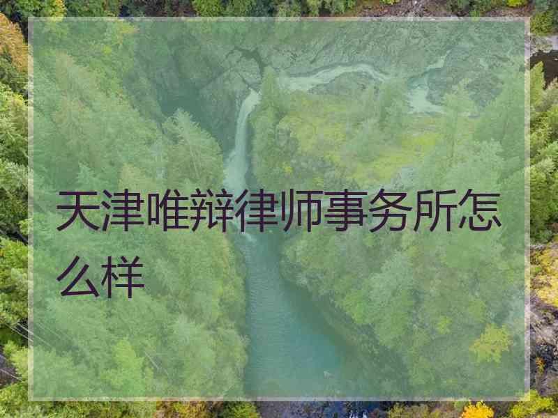 天津唯辩律师事务所怎么样