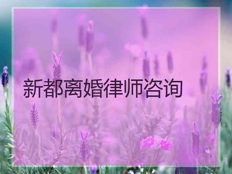 新都离婚律师咨询