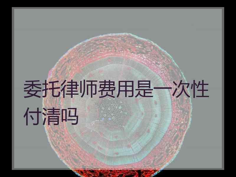 委托律师费用是一次性付清吗