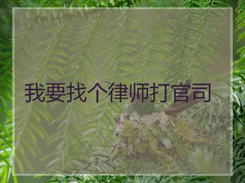 我要找个律师打官司