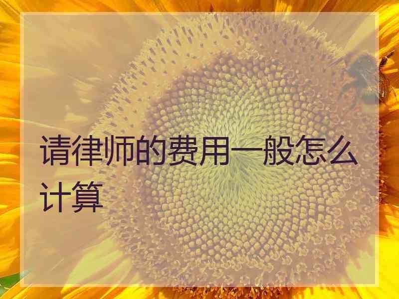 请律师的费用一般怎么计算