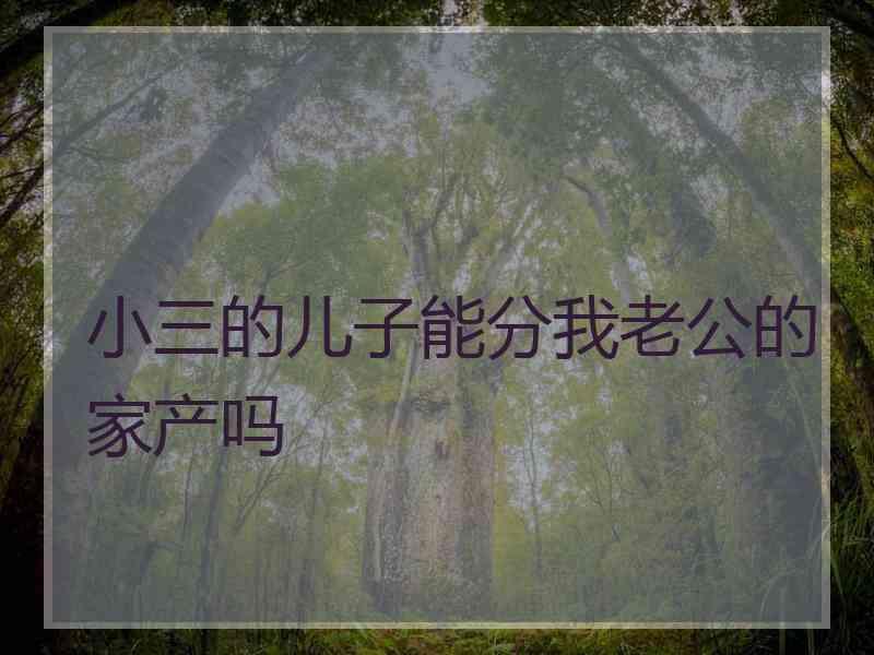 小三的儿子能分我老公的家产吗
