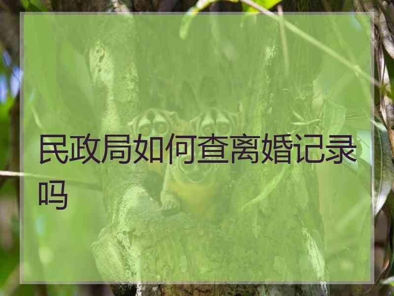 民政局如何查离婚记录吗