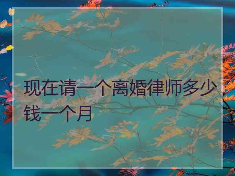 现在请一个离婚律师多少钱一个月