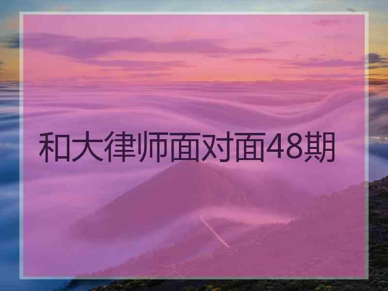 和大律师面对面48期