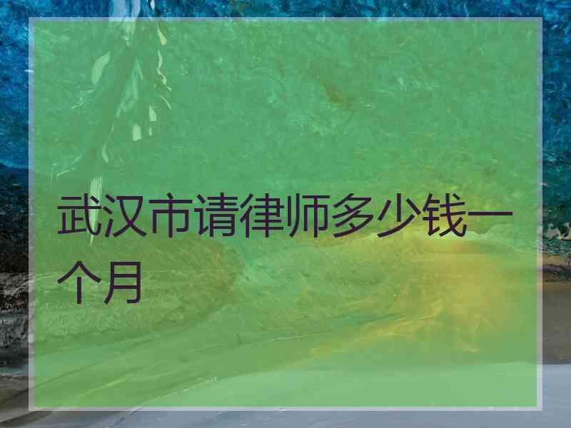 武汉市请律师多少钱一个月