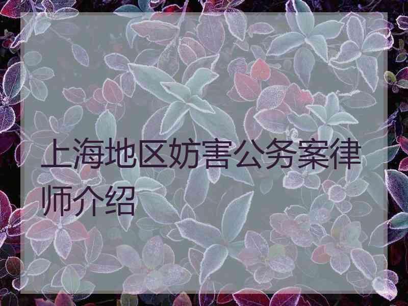 上海地区妨害公务案律师介绍