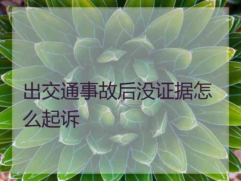 出交通事故后没证据怎么起诉