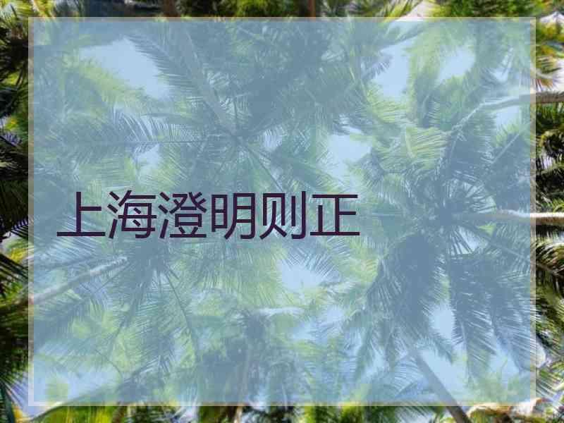 上海澄明则正