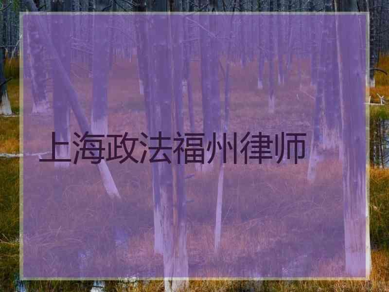 上海政法福州律师