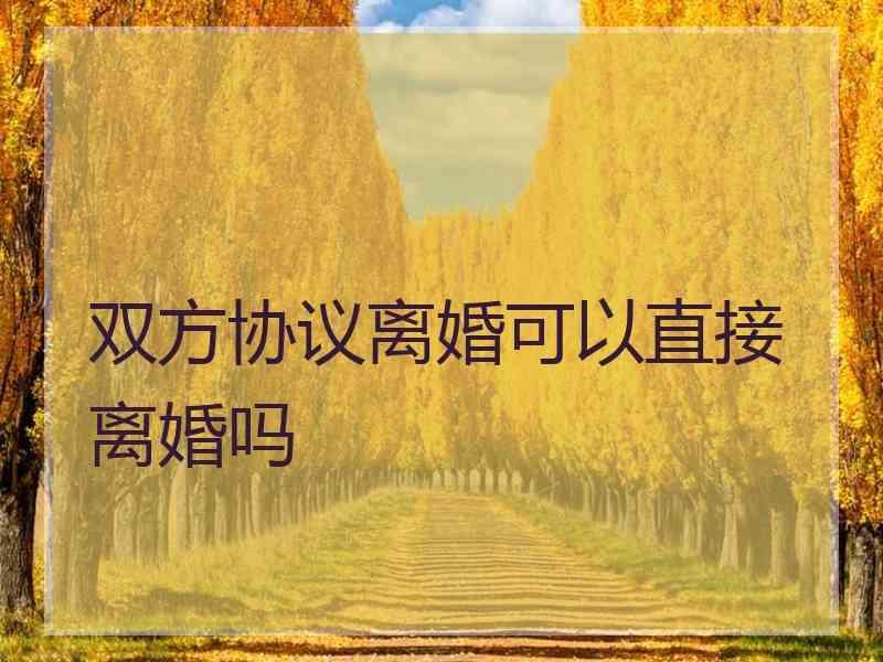 双方协议离婚可以直接离婚吗