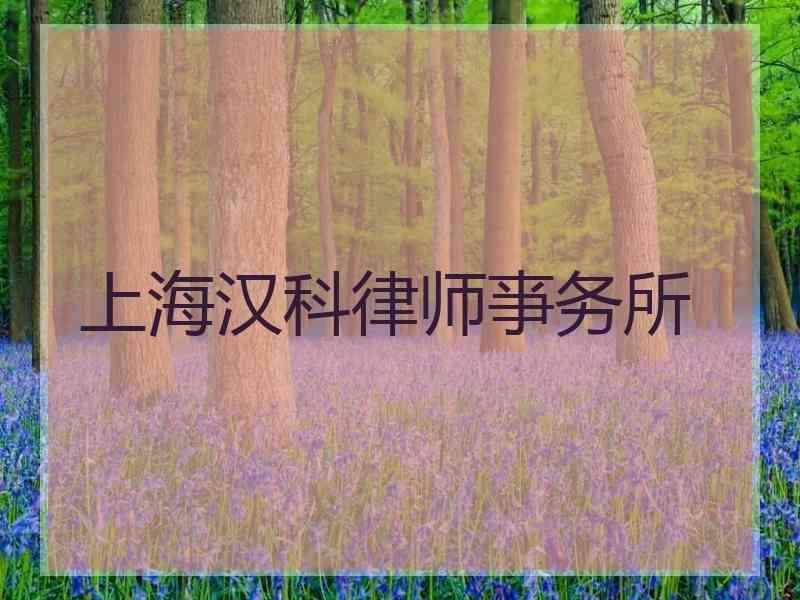 上海汉科律师亊务所