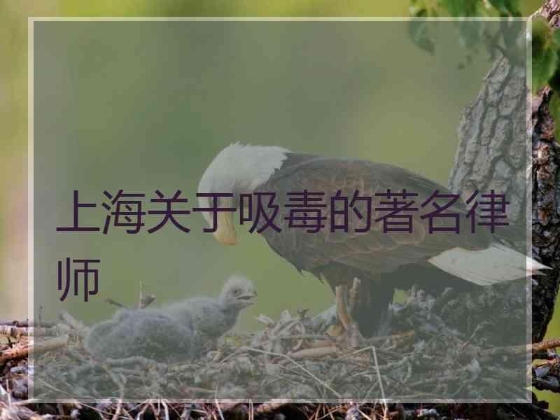 上海关于吸毒的著名律师