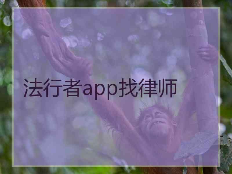 法行者app找律师