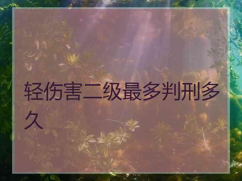 轻伤害二级最多判刑多久