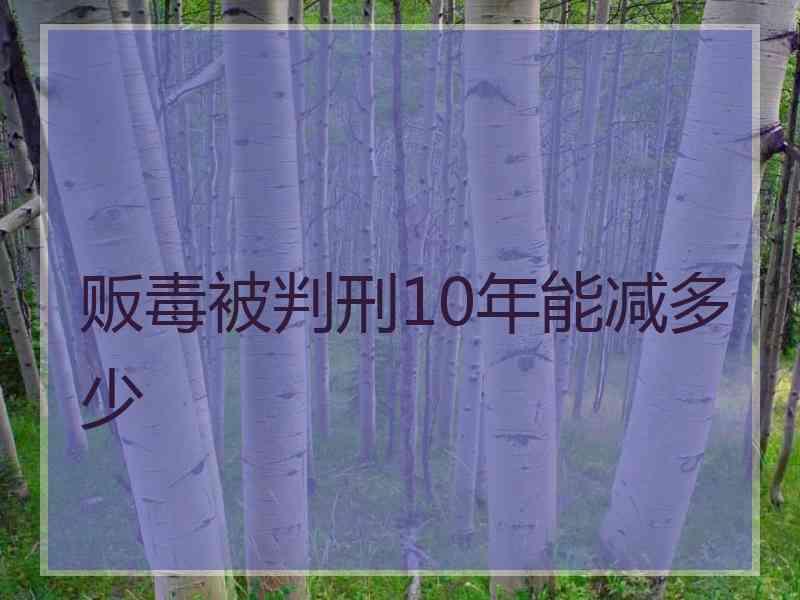 贩毒被判刑10年能减多少