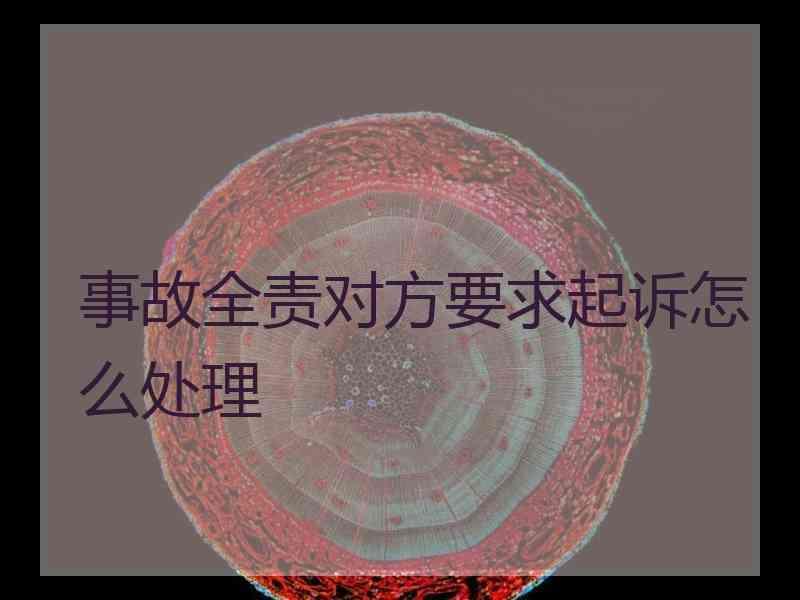 事故全责对方要求起诉怎么处理