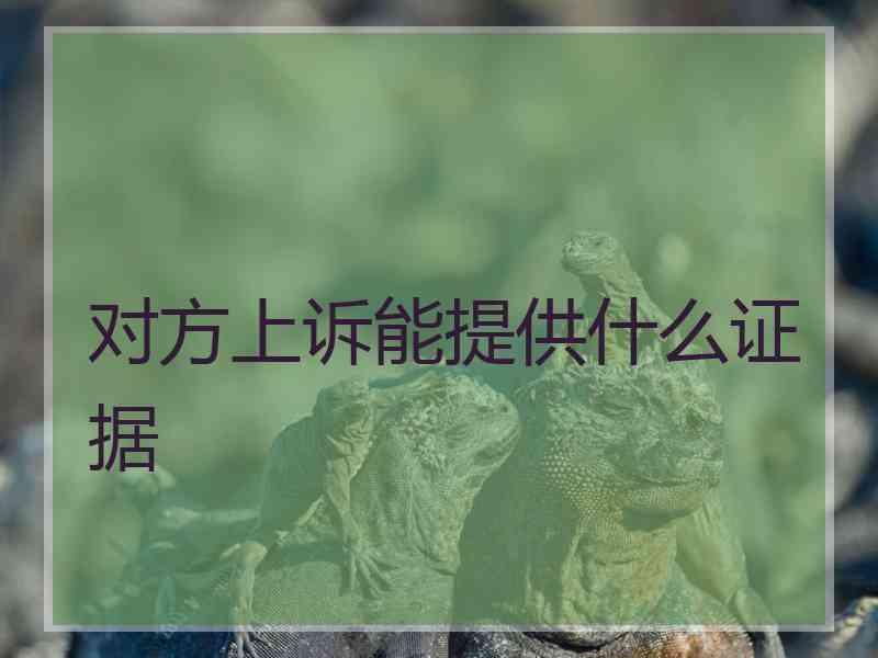 对方上诉能提供什么证据