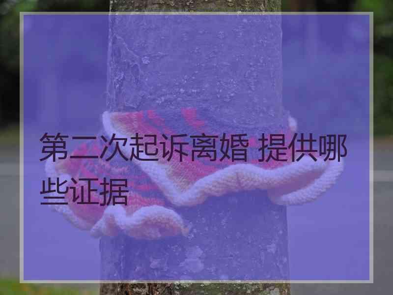 第二次起诉离婚 提供哪些证据