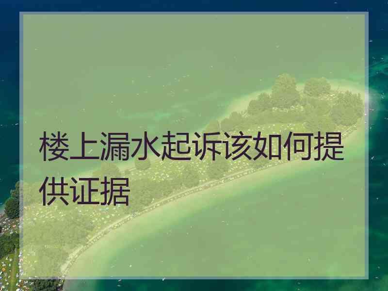 楼上漏水起诉该如何提供证据