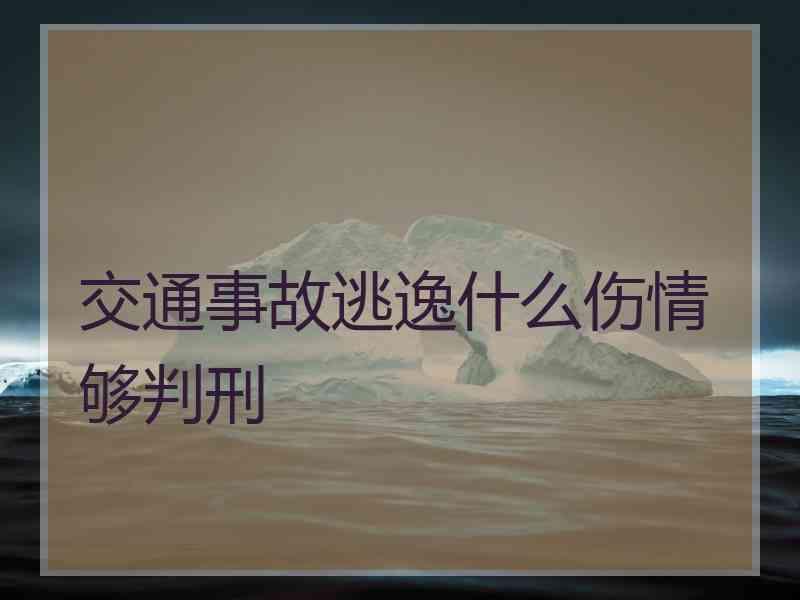 交通事故逃逸什么伤情够判刑