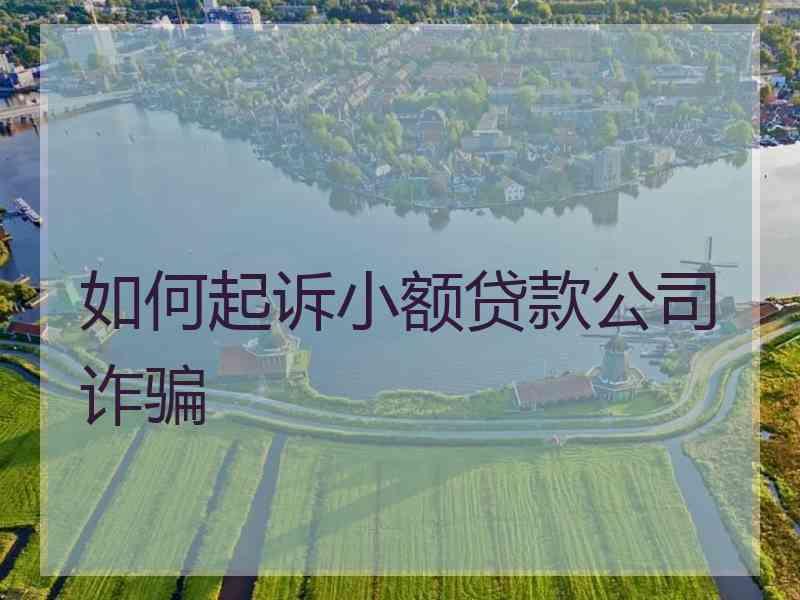如何起诉小额贷款公司诈骗