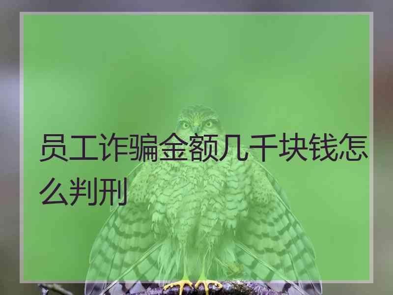 员工诈骗金额几千块钱怎么判刑