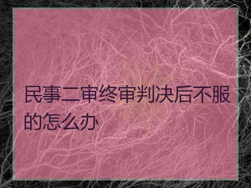 民事二审终审判决后不服的怎么办