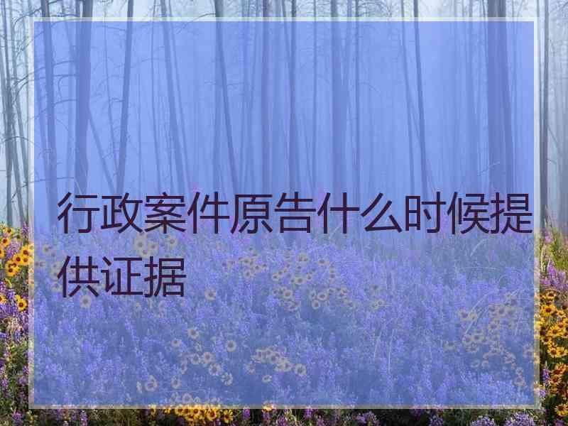 行政案件原告什么时候提供证据