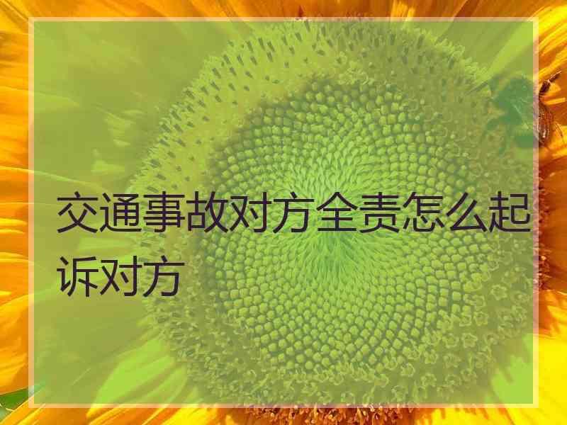交通事故对方全责怎么起诉对方