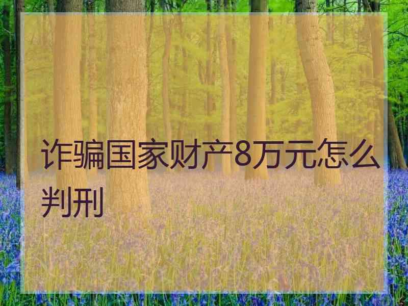 诈骗国家财产8万元怎么判刑