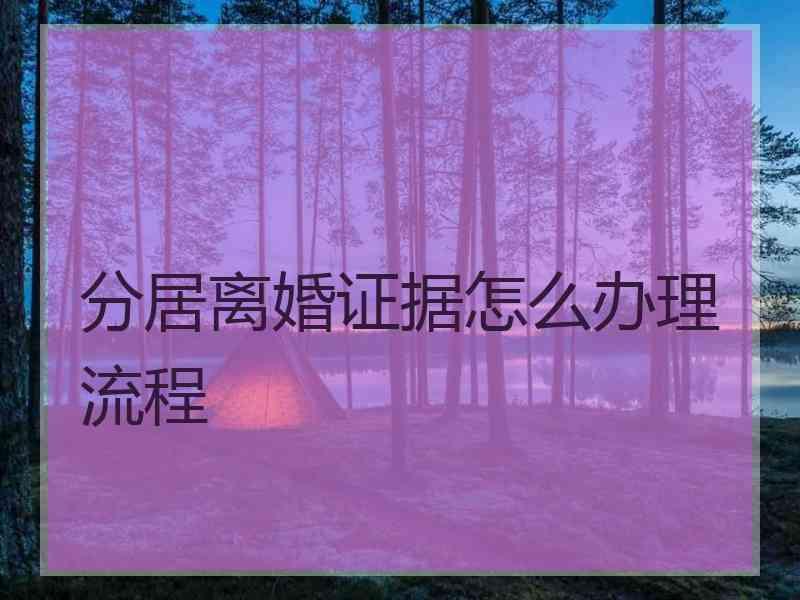 分居离婚证据怎么办理流程