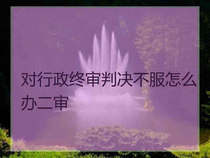 对行政终审判决不服怎么办二审