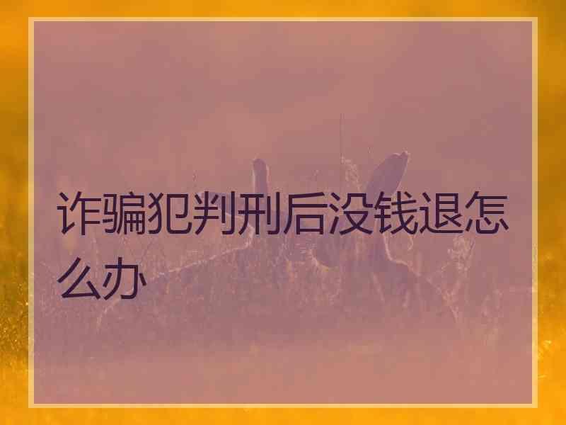 诈骗犯判刑后没钱退怎么办
