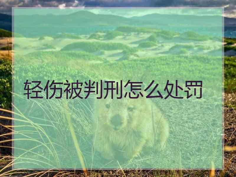 轻伤被判刑怎么处罚