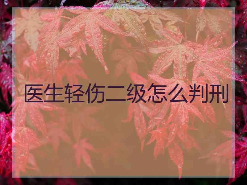 医生轻伤二级怎么判刑