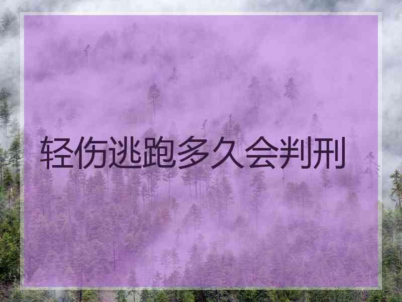 轻伤逃跑多久会判刑