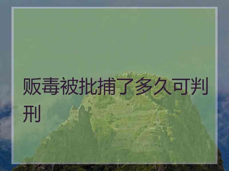 贩毒被批捕了多久可判刑