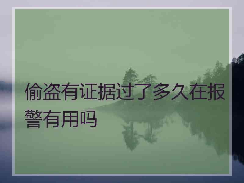 偷盗有证据过了多久在报警有用吗