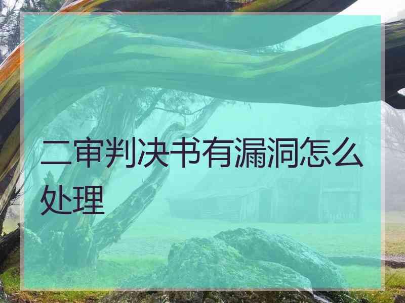 二审判决书有漏洞怎么处理