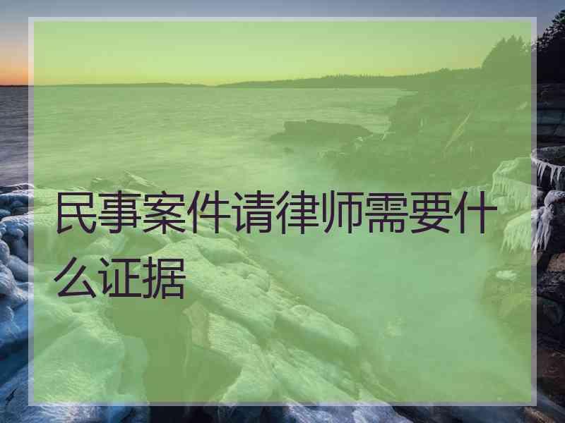 民事案件请律师需要什么证据