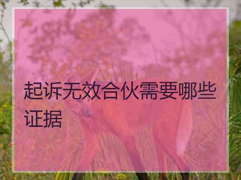 起诉无效合伙需要哪些证据