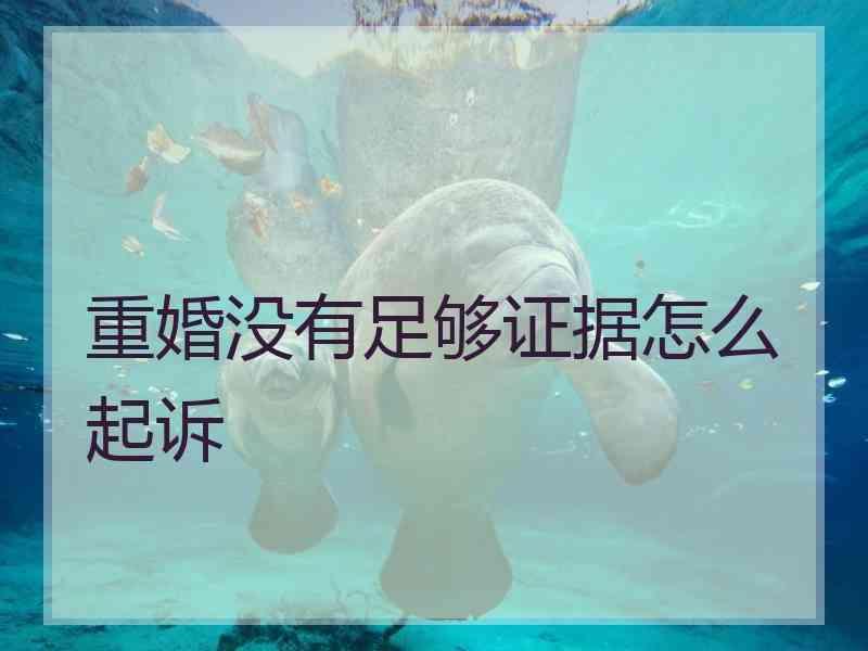 重婚没有足够证据怎么起诉